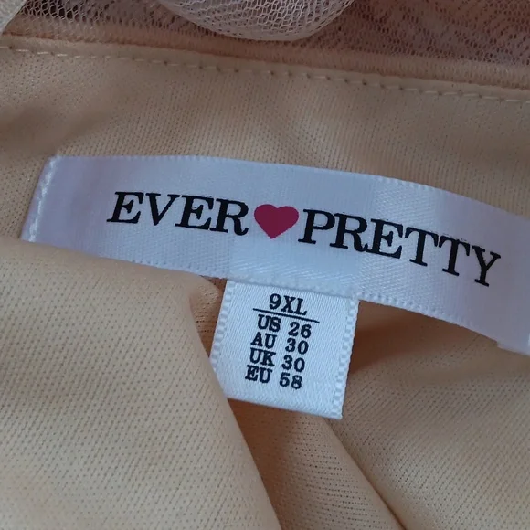 Ever pretty beige color sequin dress - Picture 10 of 11